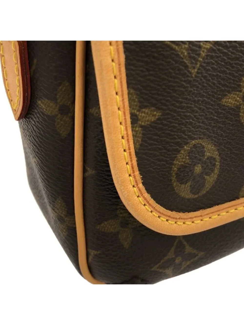 Louis Vuitton Monogram Tical PM Shoulder Bag